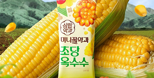 초당옥수수약과